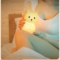 USB Rechargeable Animal Led Lamp